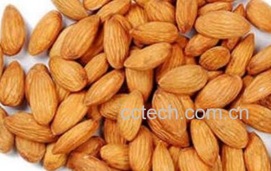 苦杏仁的副作用和禁忌-0