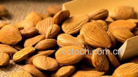 中药苦杏仁的功效与作用-0