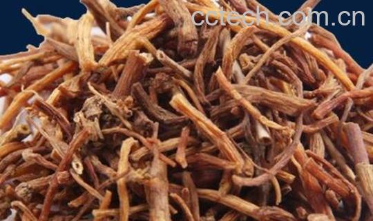 龙胆草泡水喝的正确方法 龙胆草泡水喝的好处-0