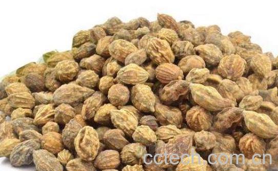 益智有什么功效和作用-0