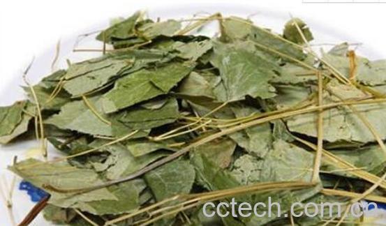 羊霍能泡水喝吗 羊霍泡水的功效与作用-0