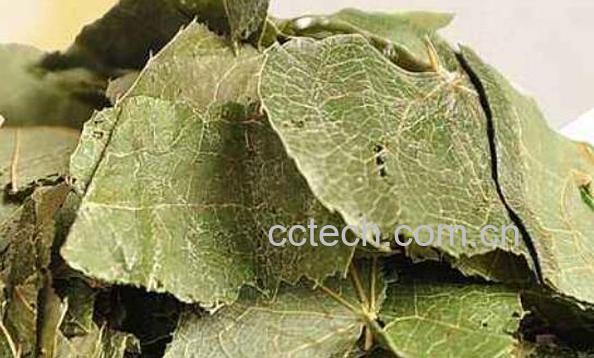 羊霍能泡水喝吗 羊霍泡水的功效与作用-1