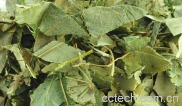 羊霍草的功效与作用-0