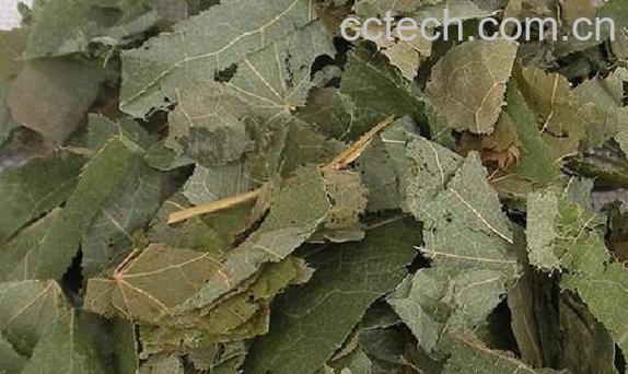 女士吃霍羊霪的功效与作用-0