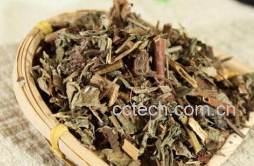 仙鹤草泡水喝的功效与作用-0