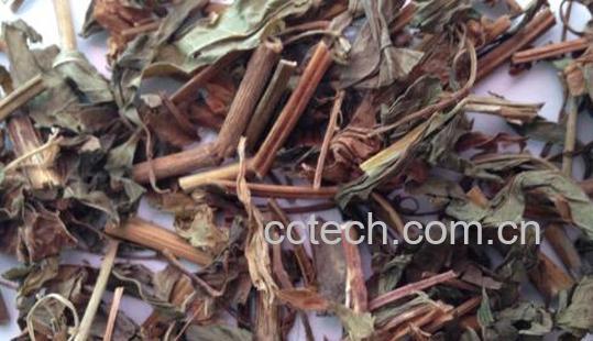 佩兰的功效与作用及副作用-0