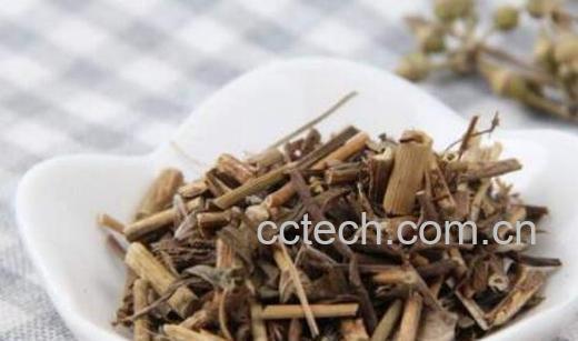 佩兰的功效与作用及副作用-1