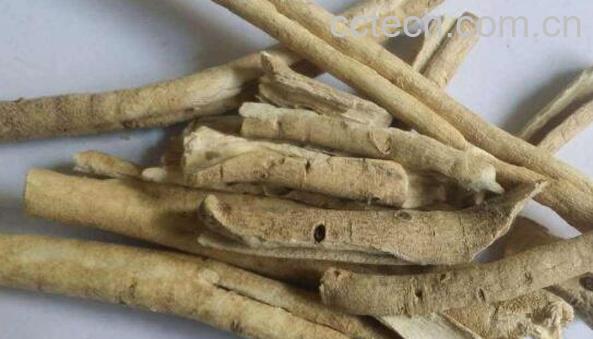 白鲜皮的功效与作用 白鲜皮的禁忌-1