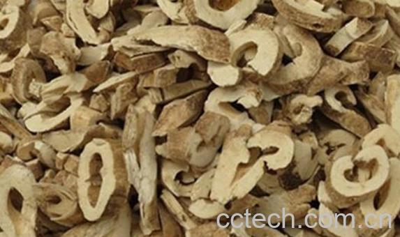 白鲜皮的功效与作用 白鲜皮的禁忌-0