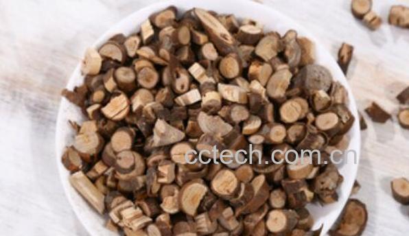 中药桂枝的功效与作用-0