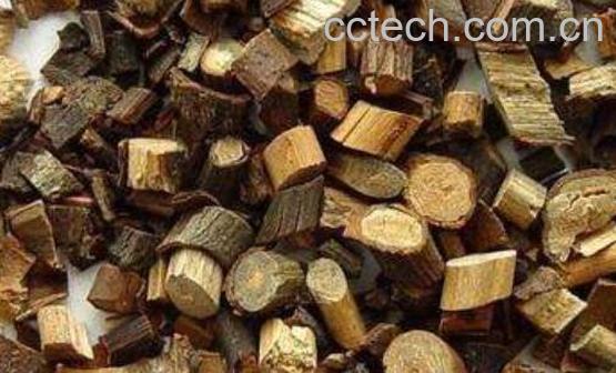 中药桂枝的功效与作用-1