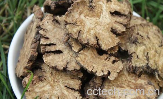 川芎的功效与作用及禁忌-1