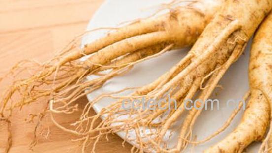 白参须的功效和禁忌-1