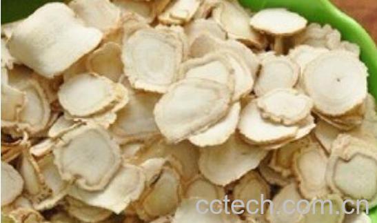 白参片泡水的功效 白参片泡水有什么禁忌-1