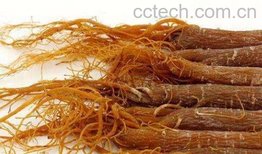 红参适合什么人吃 红参不适应服用的人群-0