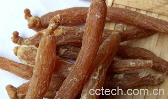 红参适合什么人吃 红参不适应服用的人群-1