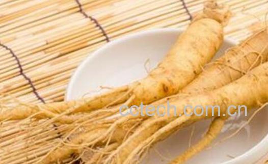 白参的功效与作用及副作用-1