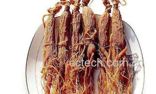 红参对男人的作用 不适合吃红参的人群-1