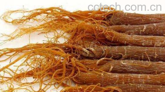 女性吃红参的禁忌 红参吃了20克太可怕了-1