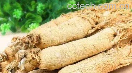 什么人不能吃白参 吃白参的禁忌-0