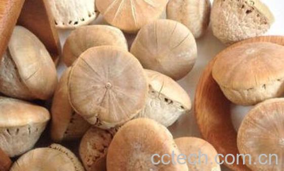 壮阳果正确的用法 壮阳果的危害-1