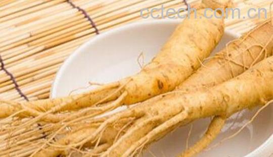 十一类人不适宜吃人参-0