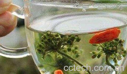 人参花泡水能天天喝吗 人参花泡水喝的副作用-0