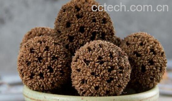 枫树球的功效与作用-1