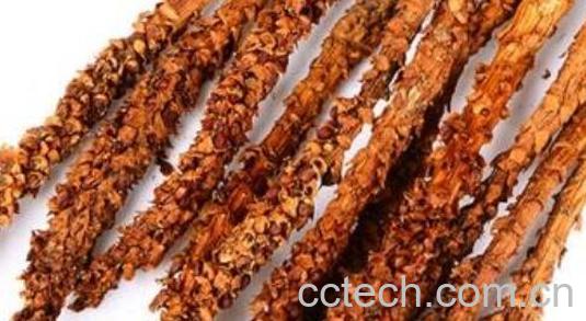 草苁蓉泡水喝的正确方法 草苁蓉泡水喝的好处-0