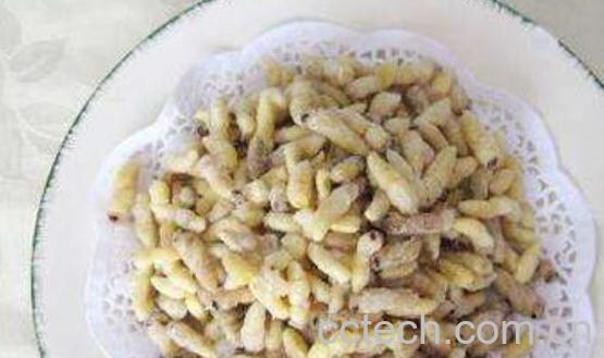 蜂蛹枸杞泡酒的作用与功效-0