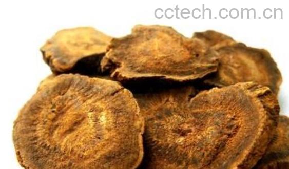 大黄的功效与作用 大黄的禁忌症-0