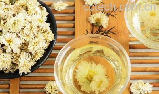 菊花水洗眼睛的功效与作用-0