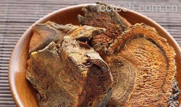 大黄的功效与作用 大黄的禁忌症-1