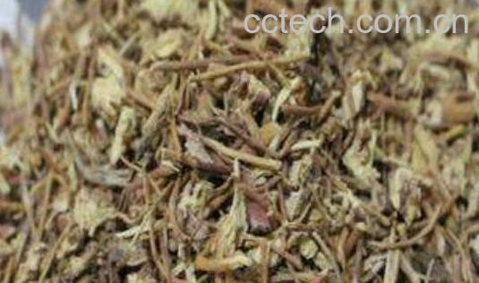 薇草的功效与作用-0