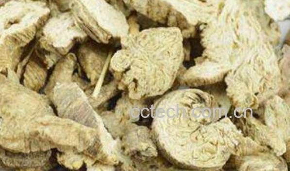 泡参的功效与作用及禁忌-0