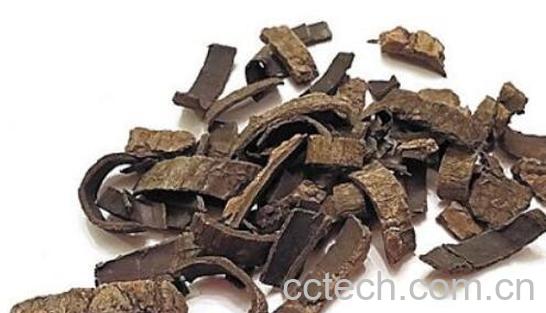 中药杜仲如何打粉 杜仲的功效与作用-1
