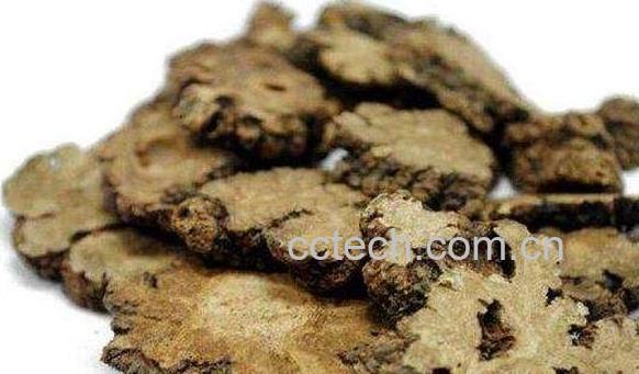 川芎美容的功效与作用-0