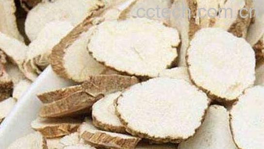 白芷泡水喝三大的功效-1