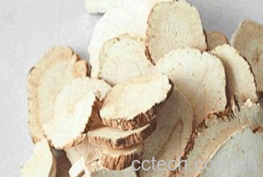 白芷泡水喝三大的功效-0