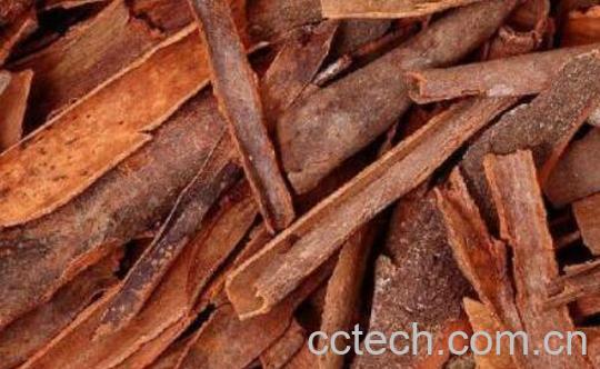 肉桂的功效与作用 肉桂的禁忌-1