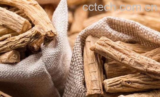 米党参的功效与作用及禁忌-1