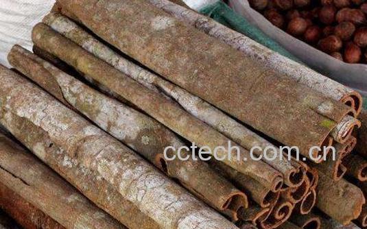 老肉桂的功效与作用及禁忌-0