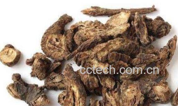 羌活的美容功效与作用-1