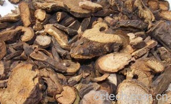 川赤芍的美容功效与作用-0