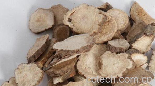 川赤芍和京赤芍的区别 赤芍的功效与作用-0