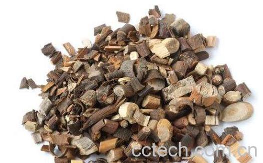 中药桂枝的功效与作用及禁忌-0