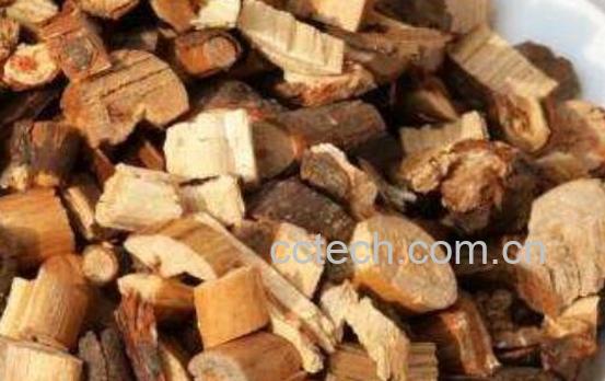 中药桂枝的功效与作用及禁忌-1