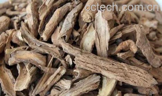 地骨皮的功效与作用及服用方法-0