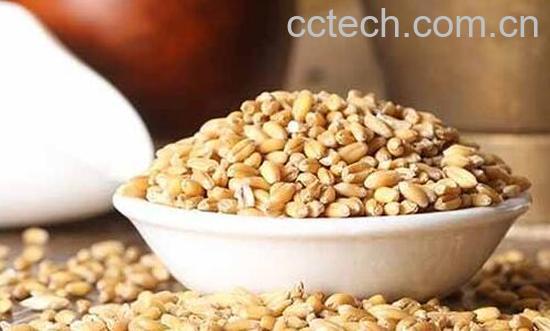 浮小麦的功效与作用 什么人不能喝浮小麦-0