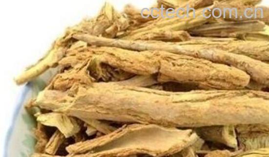 枸杞根和地骨皮的区别 枸杞根的功效与作用-0